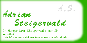 adrian steigervald business card