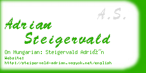 adrian steigervald business card